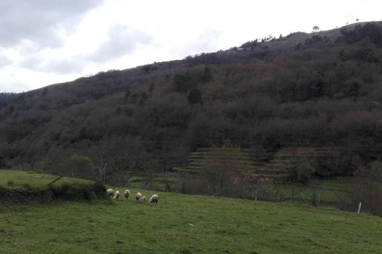 Quinta Da Imaculada Villa Arcos de Valdevez Eksteriør billede