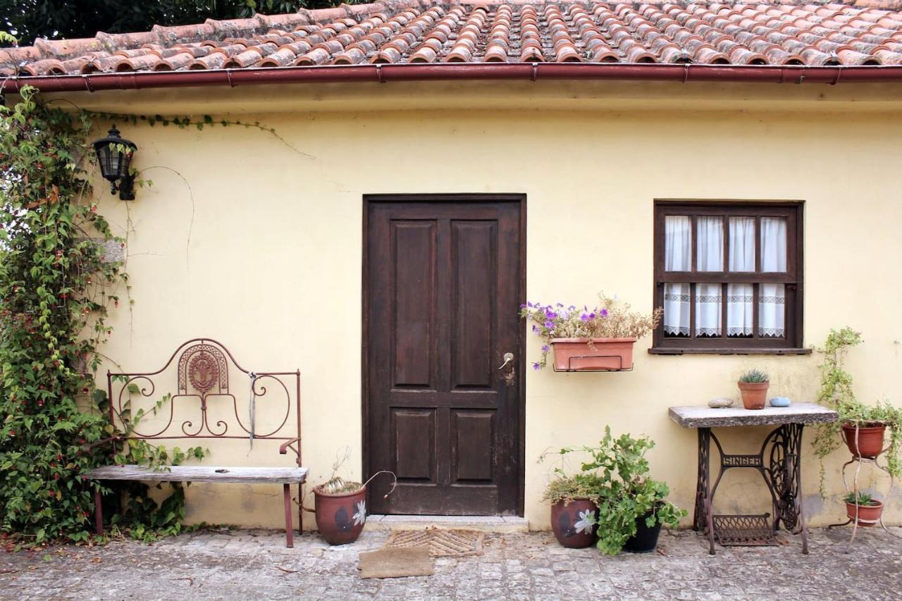 Quinta Da Imaculada Villa Arcos de Valdevez Eksteriør billede