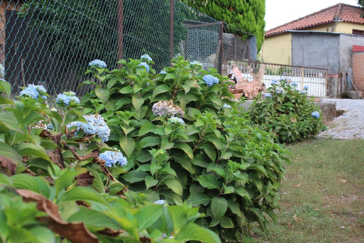 Quinta Da Imaculada Villa Arcos de Valdevez Eksteriør billede